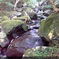 青山瀑布步道049.jpg