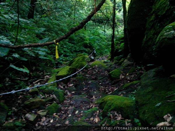 青山瀑布步道131.jpg