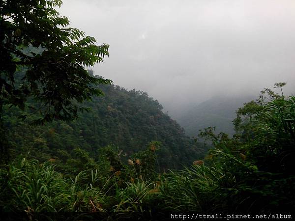 竹山天梯吊橋19.jpg