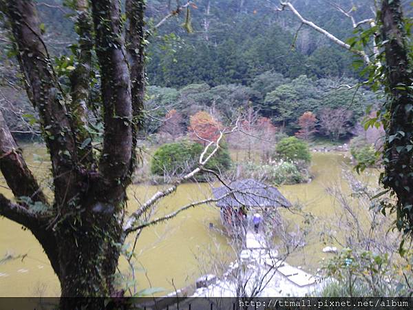 明池森林遊樂區10.jpg