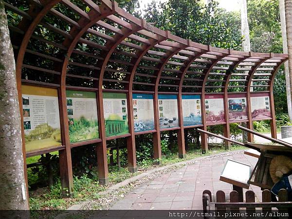 台北植物園06.jpg