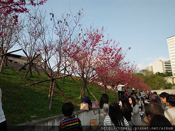 東湖樂活公園07.jpg