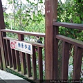 東湖樂活公園25.jpg