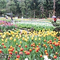 20110219-042.JPG