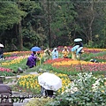 20110219-050.JPG