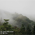 20110219-051.JPG