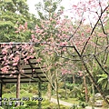 20110219-062.JPG