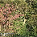 20110206-076.JPG