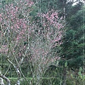 20110206-083.JPG