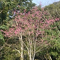 20110206-063.JPG