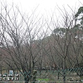 20110213-058.JPG