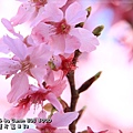 20110226-029.JPG