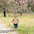 20110226-110.JPG