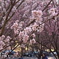 20110226-009.jpg