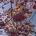 20110226-019.jpg