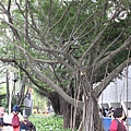 20110411-086.JPG