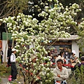 20110411-139.JPG