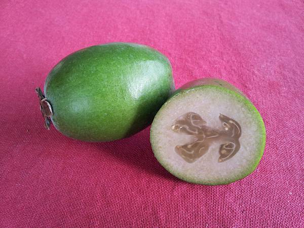 Feijoa season 