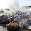 Ratorua Whakarewarewa 地熱噴泉