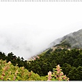 清靜DSC_1720.JPG