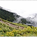 清靜DSC_1747.JPG