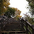 6 259.jpg