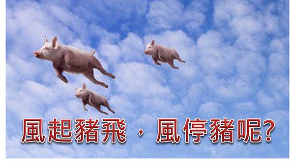 風起豬飛 風起豬飛