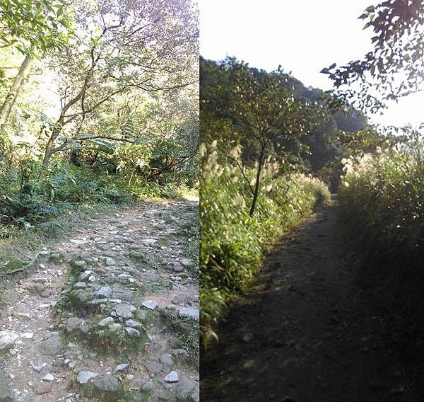 八煙山徑 八煙山徑