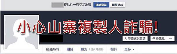 山寨複製人 山寨複製人