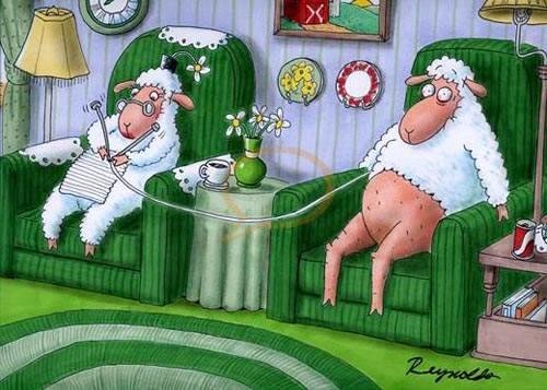 羊毛出在羊身上 羊毛出在羊身上