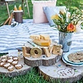 Picnic-Wedding-12.jpg