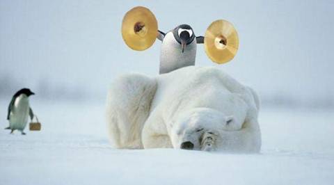 Penguin_vs_polarbear.jpg