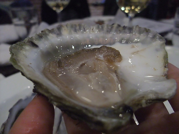 DSCF5782.JPG
