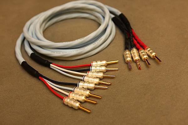 Rondo_Bi-wire-06.JPG Rondo_Bi-wire-06.JPG
