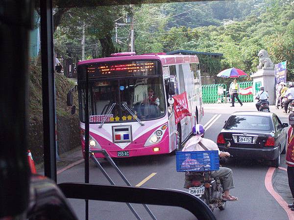 捷運永寧站 永寧線 桐花節(德霖學院245台北101 255AC.jpg