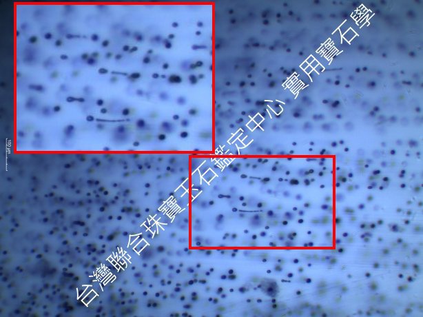 台灣聯合_16-A台灣聯合-放大.jpg 台灣聯合_16-A台灣聯合-放大.jpg