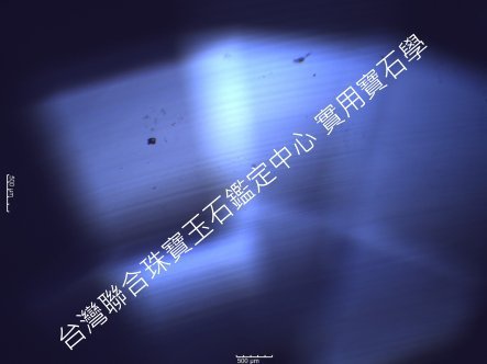 20160420_135303-A彎曲生長弧線.jpg 20160420_135303-A彎曲生長弧線.jpg