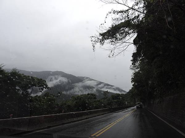 DSCN2771 DSCN2771