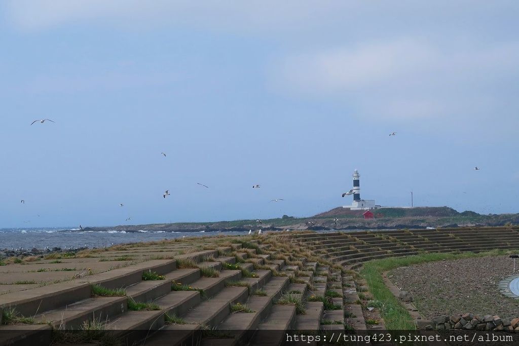 AOMORI190422 (32).jpg