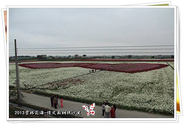 2013雲林花海-情定莿桐『孩沙里』 