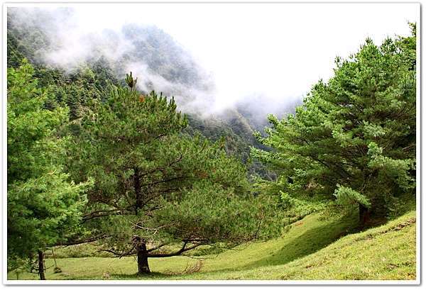 南投 玉山國家公園 塔塔加遊憩區 鹿林山步道 阿賓的旅遊札記 痞客邦