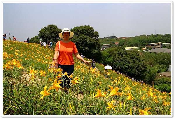 彰化花壇 虎山巖 3萬株金針花齊力綻放 不用跑花東就能賞金針花 阿賓的旅遊札記 痞客邦