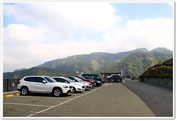 南投竹山軟鞍 八卦茶園 八卦迴音亭下櫻花隧道賞櫻 阿賓的旅遊札記 痞客邦
