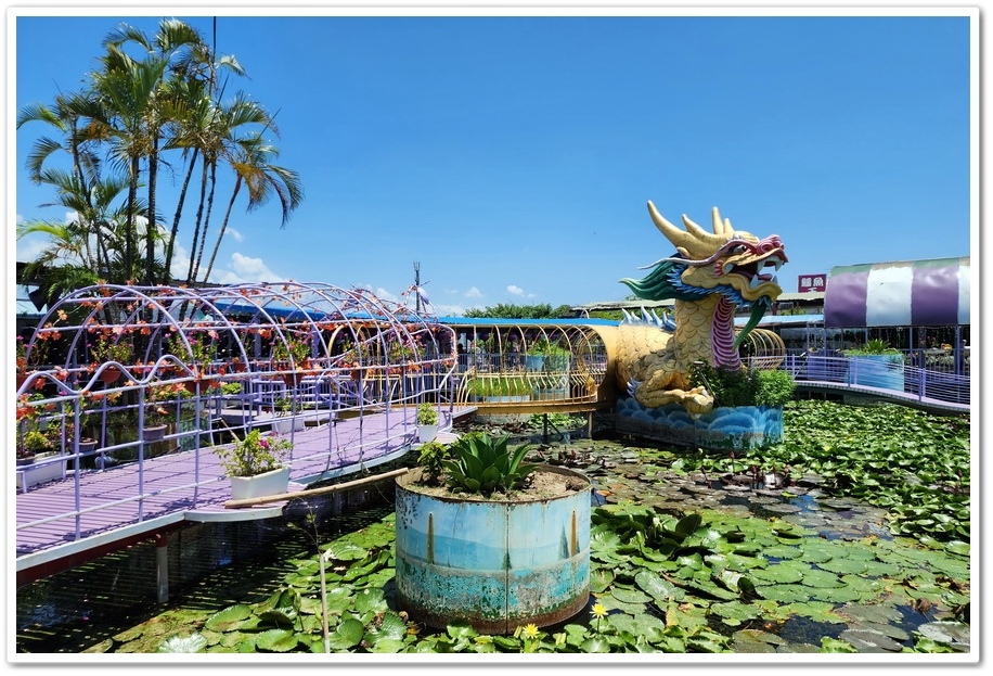 台南【麻豆鱷魚王】重磅回歸《鱷魚王蓮花休閒村》紫色水漾越南文