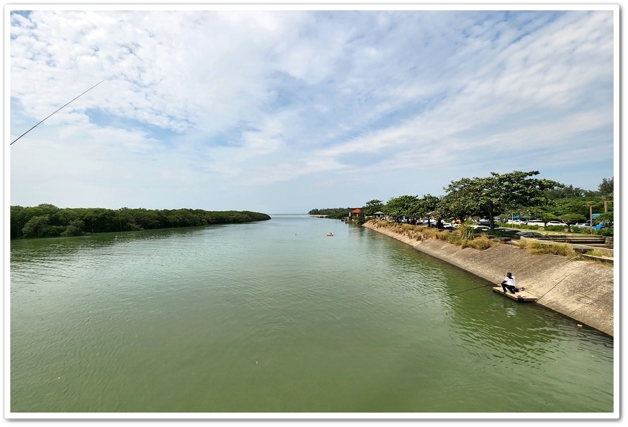 新竹《新豐紅樹林步道》龍貓隧道─水筆仔、海茄苳、招潮蟹重新回