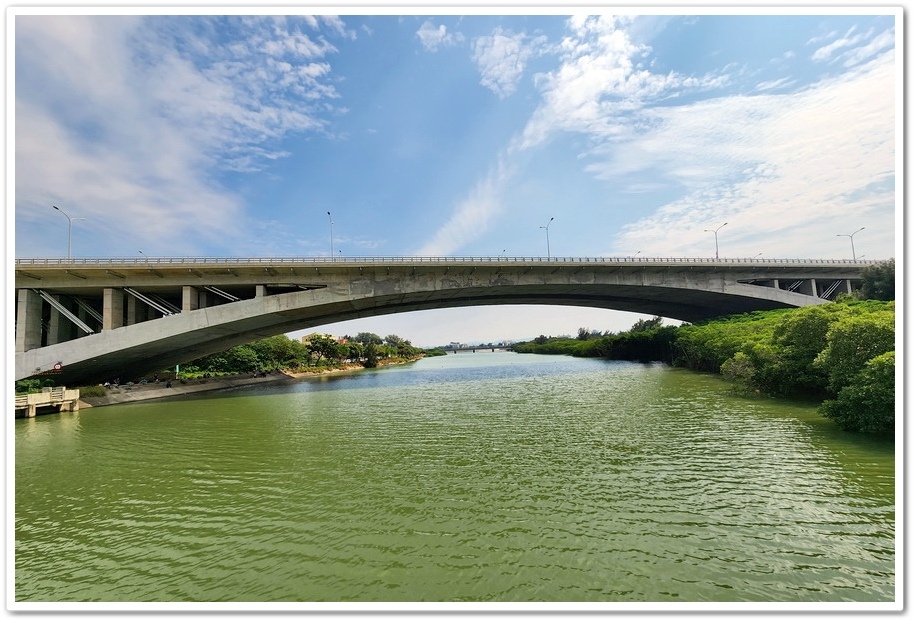 新竹《新豐紅樹林步道》龍貓隧道─水筆仔、海茄苳、招潮蟹重新回