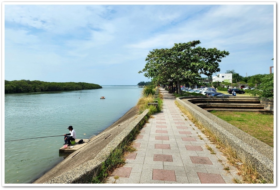 新竹《新豐紅樹林步道》龍貓隧道─水筆仔、海茄苳、招潮蟹重新回