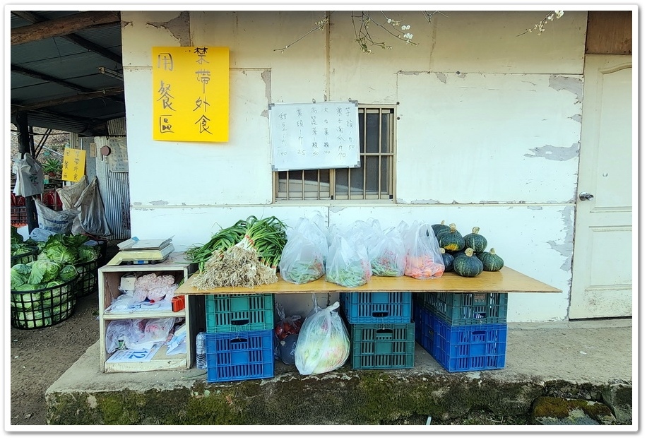 南投信義鄉外坪頂《蔡家秘境梅園》梅花搭配古厝意境超美！