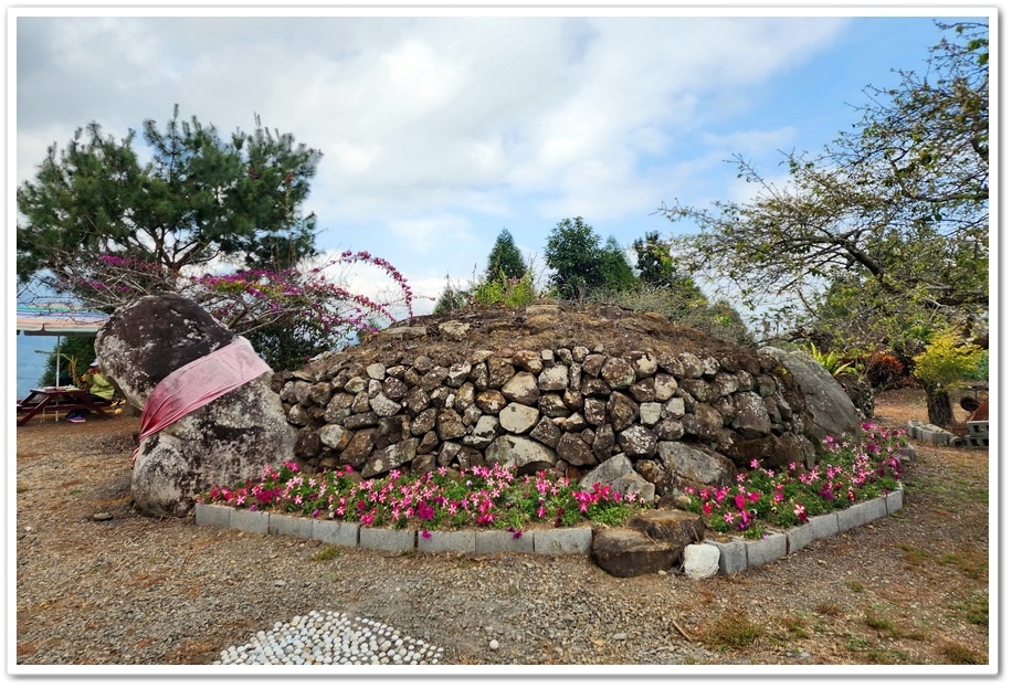 南投信義鄉烏松崙《石龜梅園》梅花與油菜花海唯美浪漫