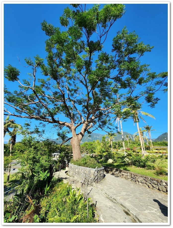 人往高處爬，水往低處流─見證台東《水往上流奇觀》